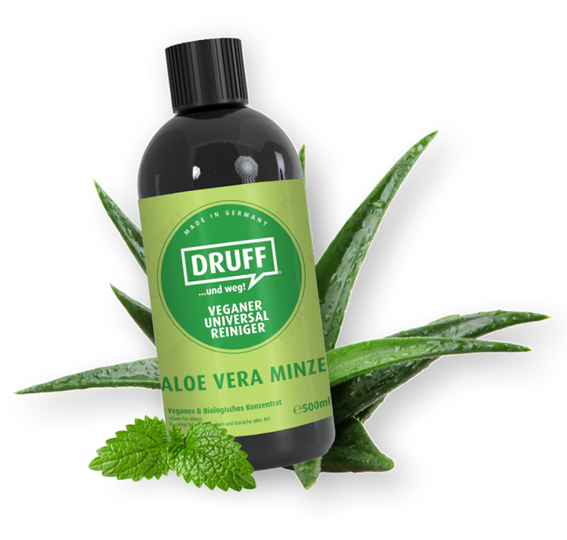 Aloevera.webp