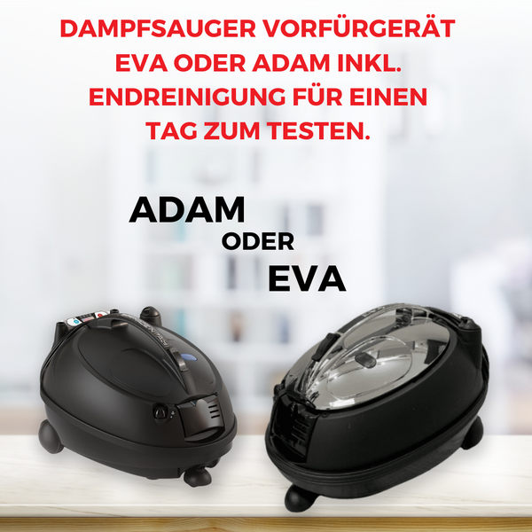 Dampfsauger Singer Adam oder Eva Vorführgerät inkl. Endreinigung